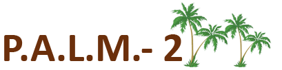 PALM2 Logo